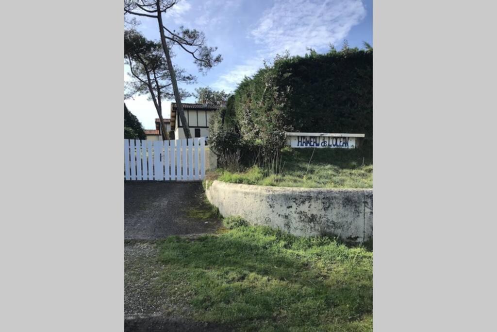 Maison A 300M De La Plage, Quartier Calme Mimizan Luaran gambar
